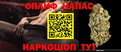 альфа пвп Аргун