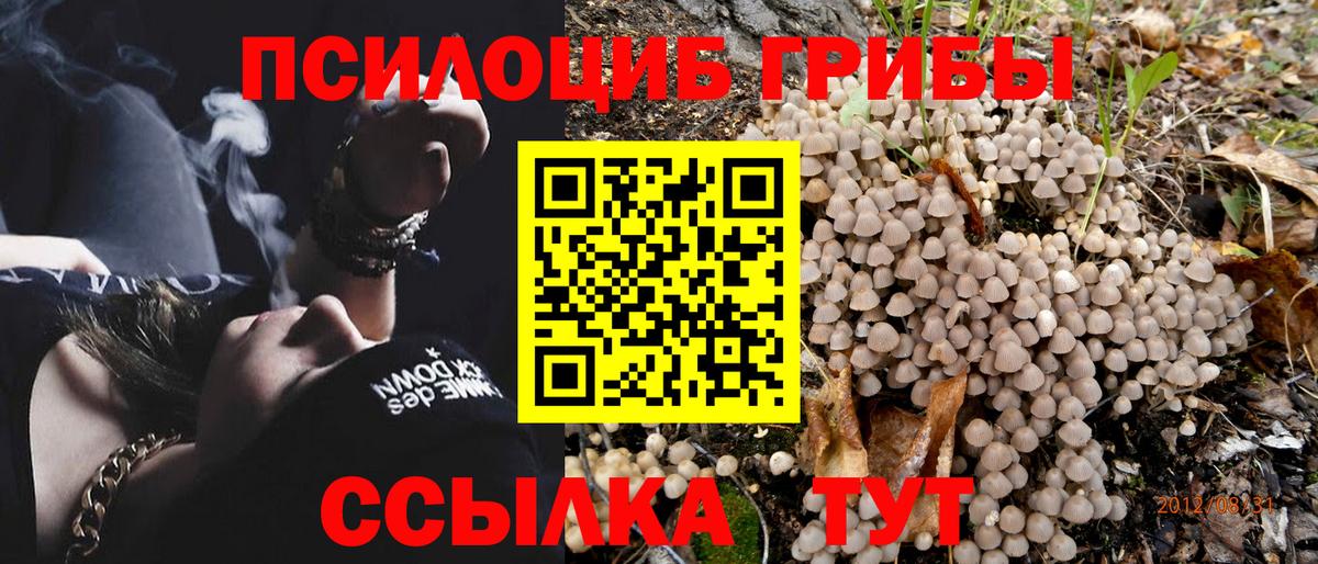 Псилоцибиновые грибы MAGIC MUSHROOMS Богданович