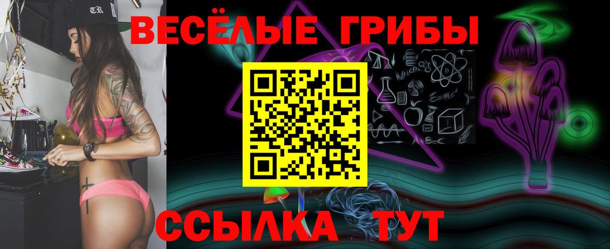 Богданович  Псилоцибиновые грибы прущие грибы  Вход с VPN 