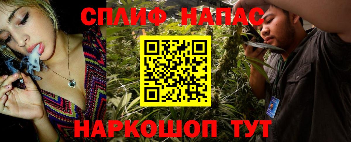 Бошки Шишки Bruce Banner  Вход с VPN  Богданович  Шишки марихуана THC 21%  Марихуана гибрид 